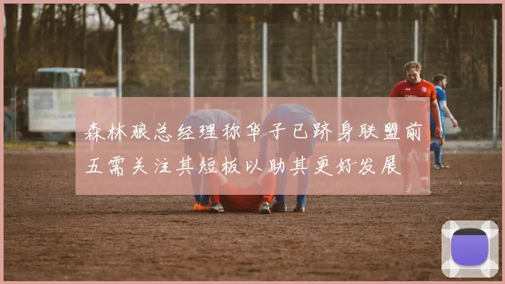森林狼总经理称华子已跻身联盟前五需关注其短板以助其更好发展